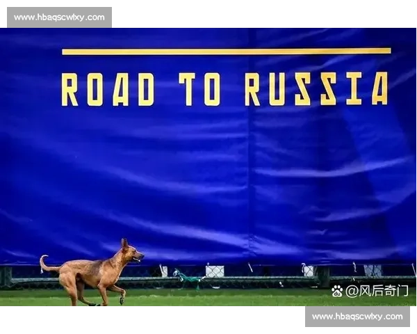 卡塔尔迎战中国香港亚洲赛场强弱对话引关注焦点之战前瞻与看点解析